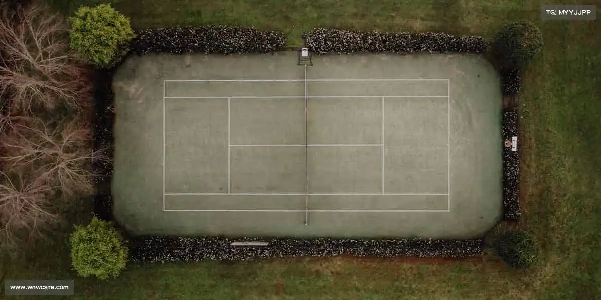 行业领先的理由